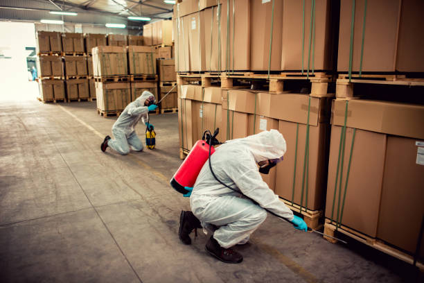 Best Pest Control Near Me  in Denison, TX
