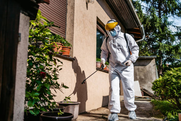 Best Best Pest Control Companies  in Denison, TX