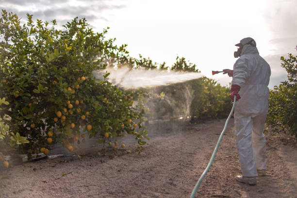  Denison, TX Pest Control Pros