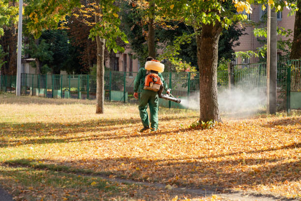 Best Wildlife Control Services  in Denison, TX