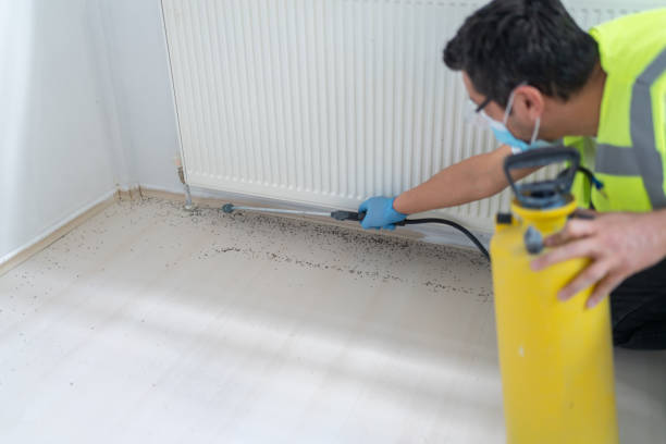 Best Affordable Pest Control Services  in Denison, TX