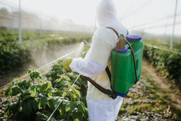 Best Local Pest Control Services  in Denison, TX